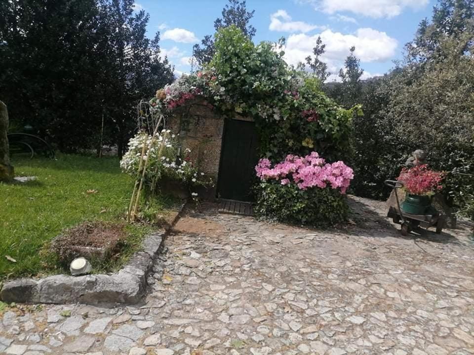Quinta Da Cartida Villa Santa Marinha do Zezere Exterior photo